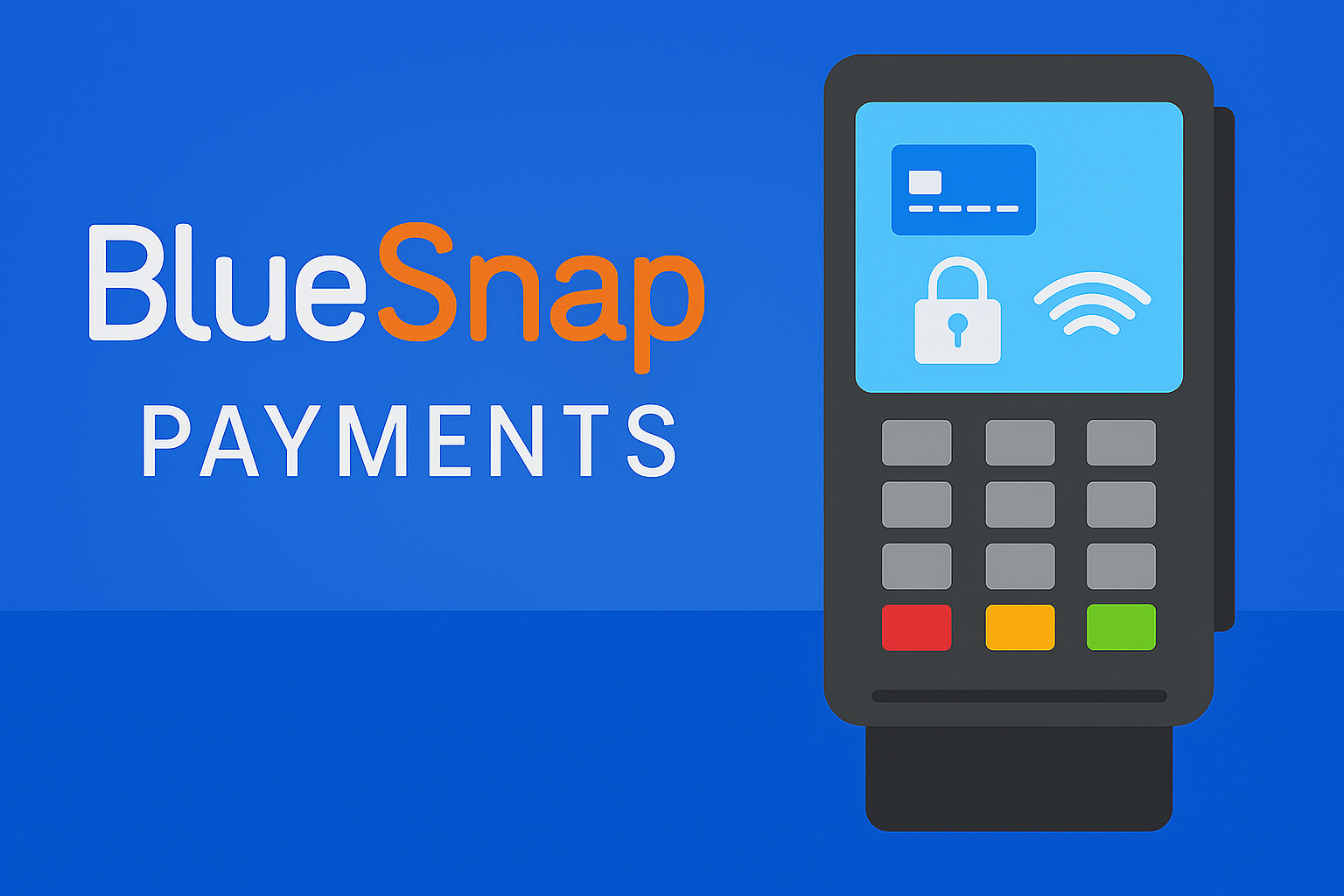 BlueSnap Payments Dashboard